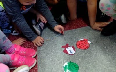 72983778_2423337787933490_7924217916705210368_n